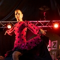 flamenco (80)